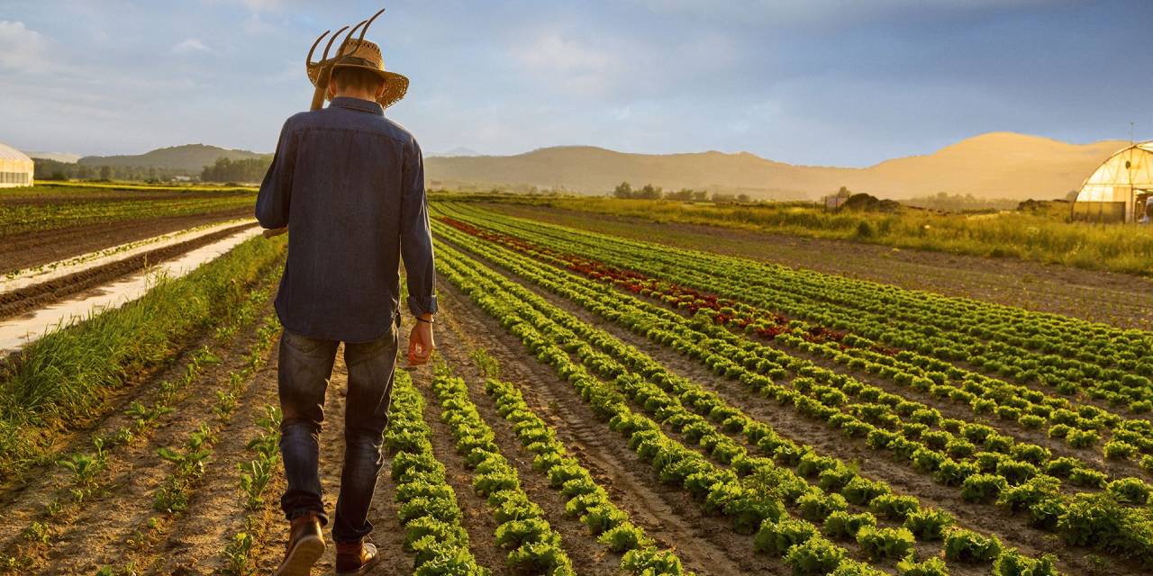 Tersine göç başlıyor: Köye dönene hibe desteği geliyor!