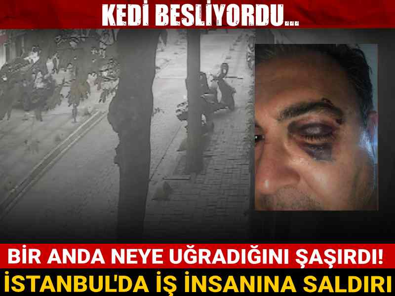 Kedi besliyordu... Bir anda neye uğradığını şaşırdı! İstanbul'da iş insanına saldırı