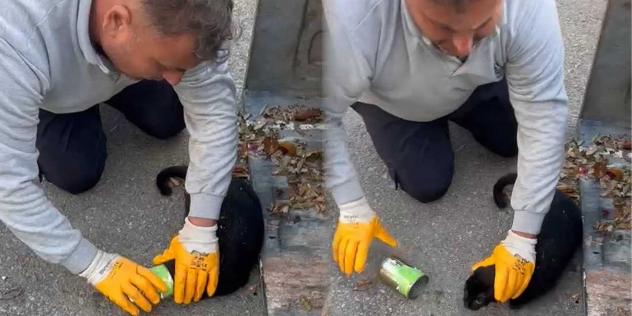 Konserve kutusuna sıkışan kedinin yardımına koştu!