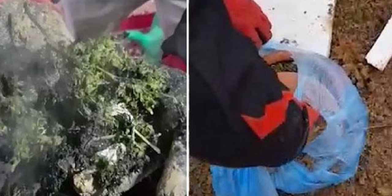 Polisi görünce esrarı sobada yakmaya çalıştılar