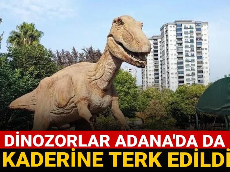 Dinozorlar Adana'da da çürümeye terk edildi