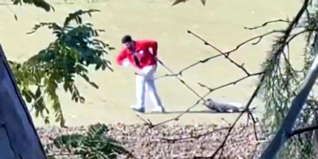 Köpeği sürükleyen belediye çalışanı gözaltına alındı