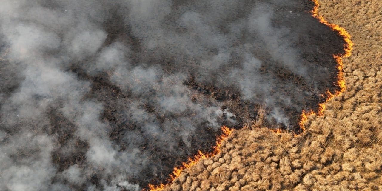 4 gündür devam ediyordu: Nehil Sazlığı yangını söndürüldü