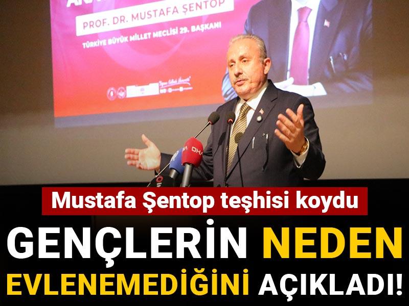 Mustafa Şentop teşhisi koydu: Gençlerin neden evlenemediğini açıkladı!