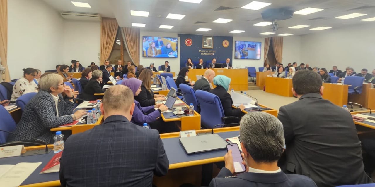 Bütçe komisyonunda başörtüsü tartışması: Sizin başörtülü bir milletvekiliniz yok