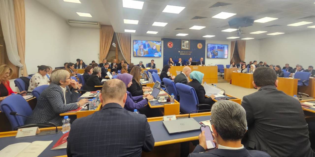 Sabah programı tadında bütçe görüşmesi: Yurttaş geçim derdinde vekiller laf yetiştirme