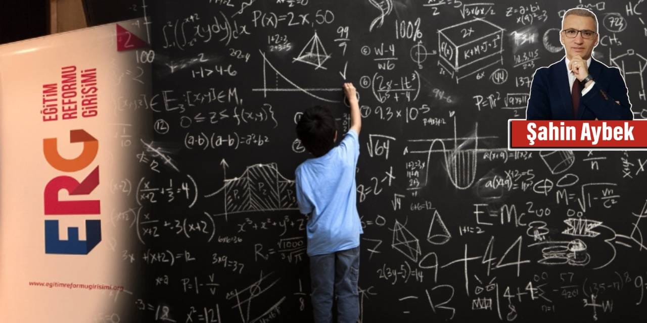 Türkiye Eğitim Reformu projesi nedir?