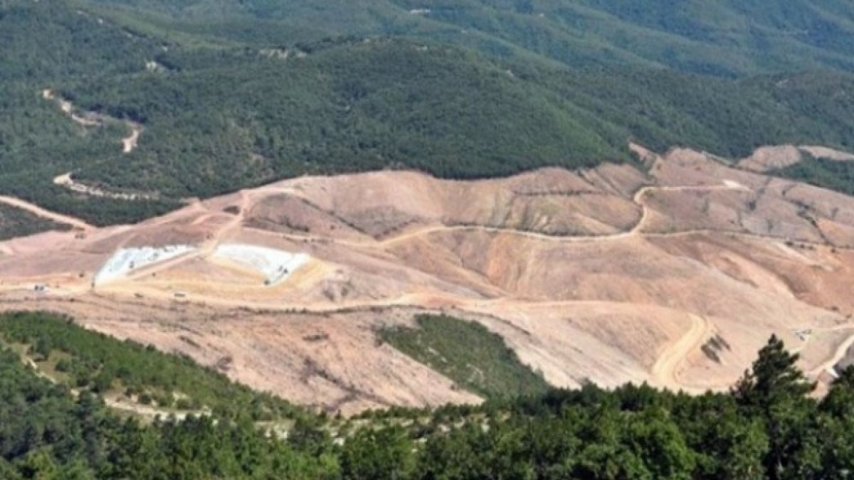 Kaz Dağları’nda ağaç katliamı yapan şirket CEO'sundan "siyanür" itirafı 