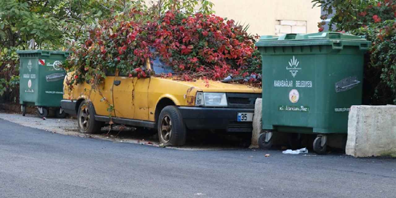 Bu araç 8 yıldır aynı yerde: Sahibi öldü, sarmaşıklar sardı