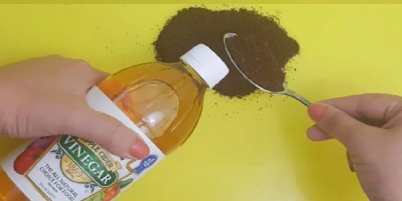 Birlikte çok etkililer! İşte nedeni: