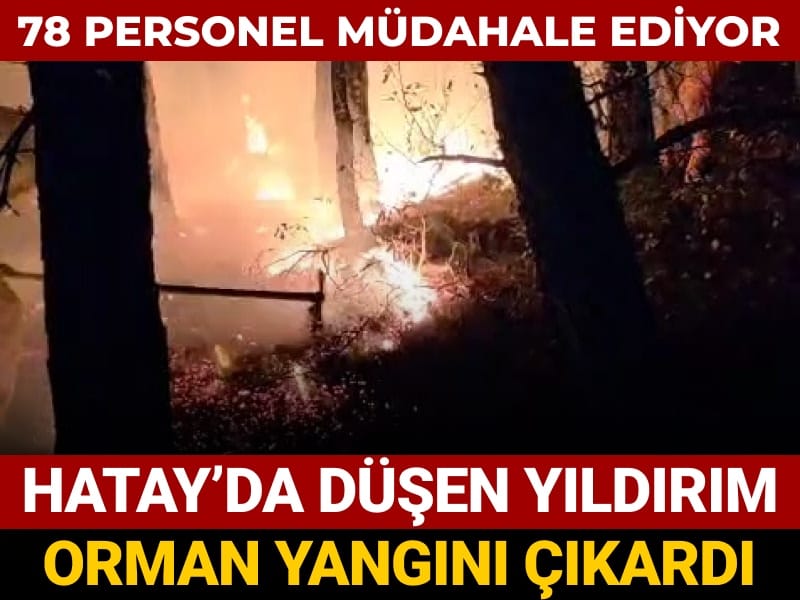 Hatay'da düşen yıldırım orman yangını çıkardı: 78 personelin müdahalesi sürüyor