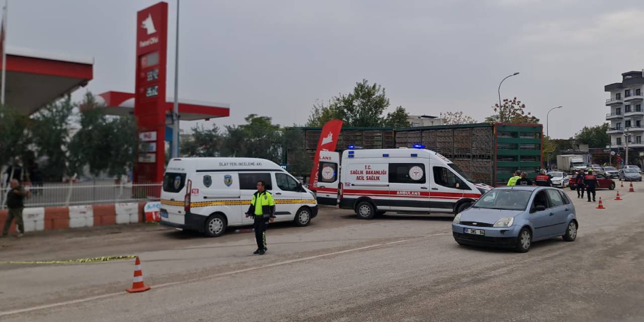 Osmaniye'de TIR'ın çarptığı 86 yaşındaki adam hayatını kaybetti