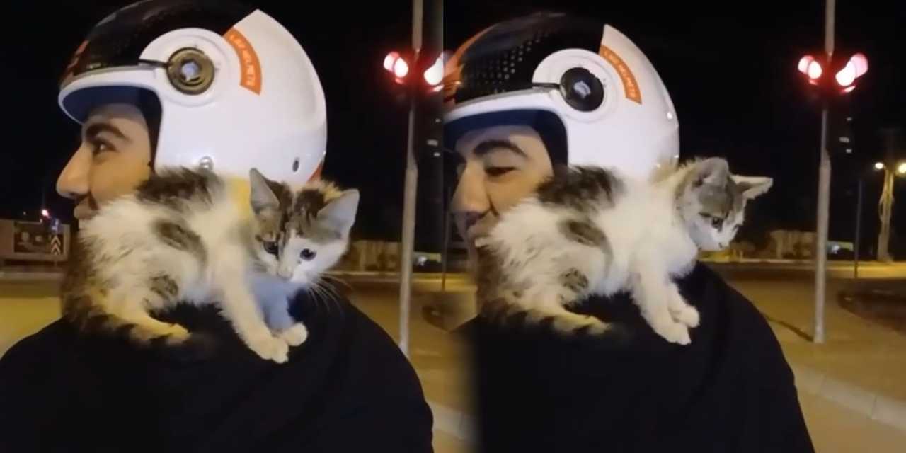 Osmaniye’de yürekleri ısıtan anlar! Yavru kediyi sahiplenip omzunda eve götürdü