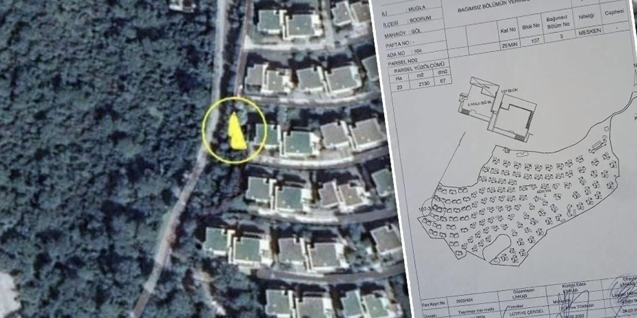 AKP'li Ayaydın'a özel kıyak  Danıştay'dan döndü: Cumhurbaşkanlığı kararnamesi iptal edildi