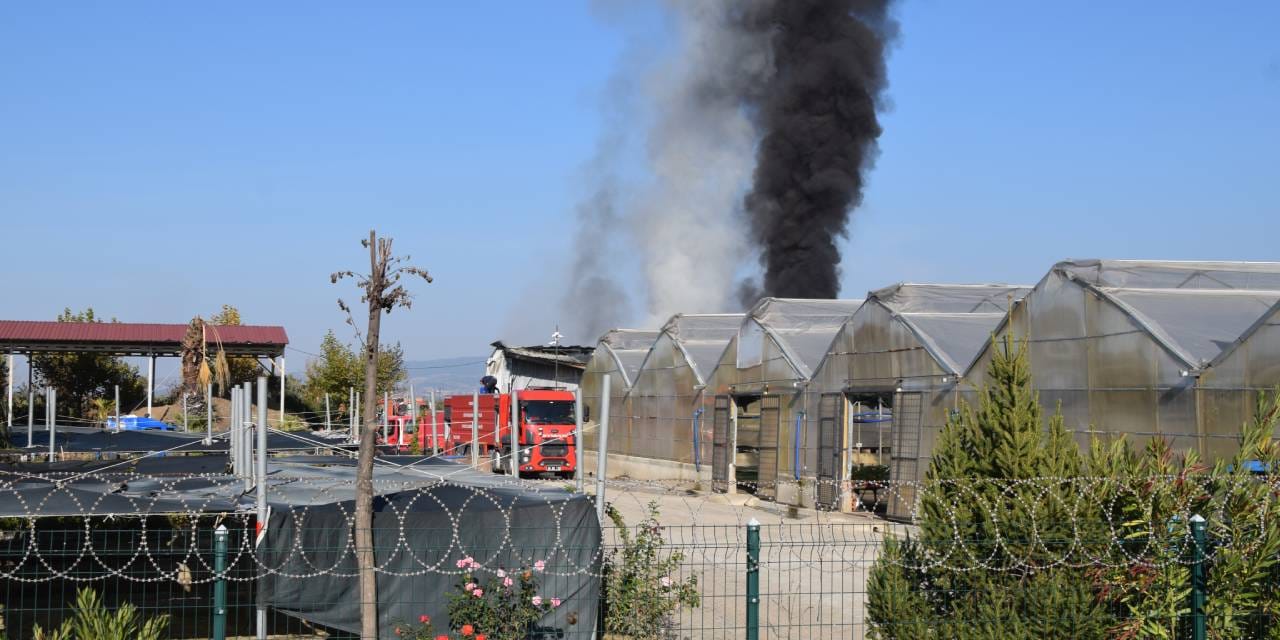 Manisa'da çıkan yangın kontrol altında