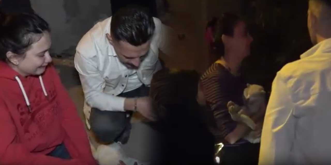 Yangında 2 kedi can verdi! Ev sahiplerinden “kundaklama” iddiası