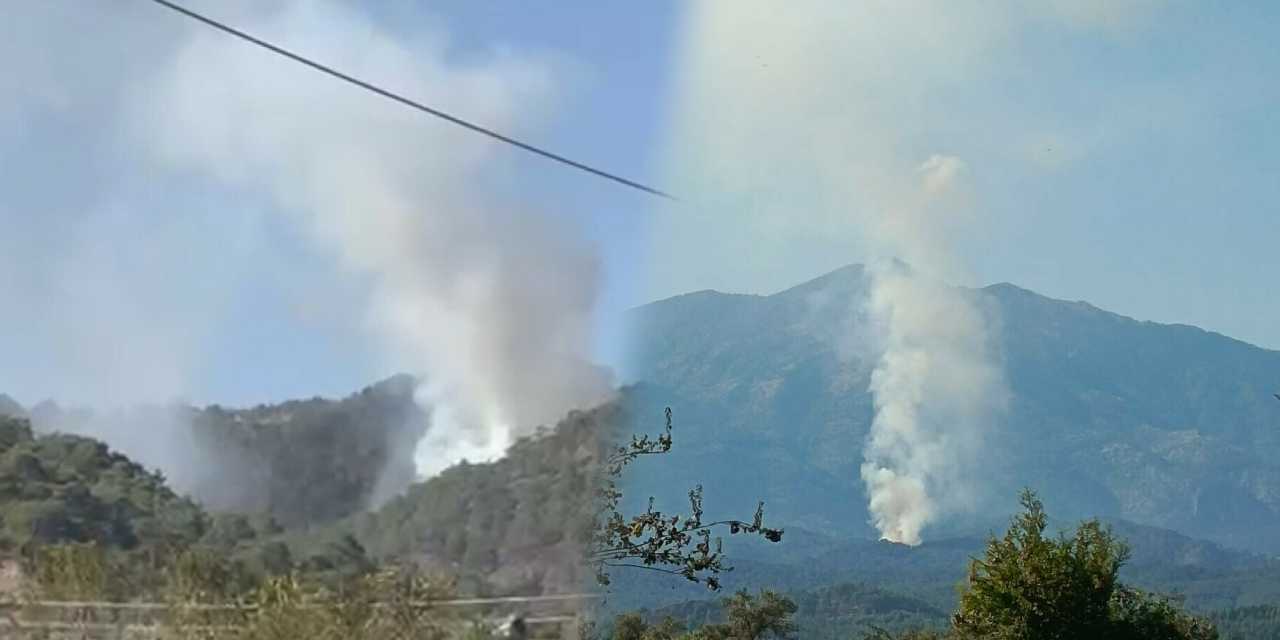 Muğla'da orman yangını!