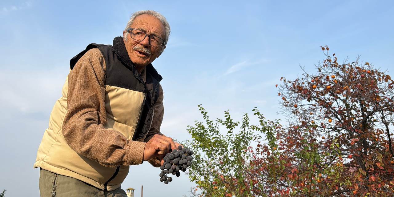 "Arazime kimyasal ilaç girmiyor” dedi: 54 farklı meyveyi Türkiye'nin dört bir yanına satıyor