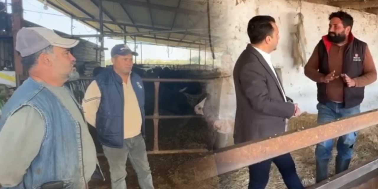 Üreticinin çilesi bitmedi! İşte böyle isyan ettiler: Kahvede otursan zarar etmezsin biz çalışıyoruz zarar ediyoruz