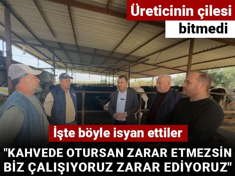 Üreticinin çilesi bitmedi! İşte böyle isyan ettiler: Kahvede otursan zarar etmezsin biz çalışıyoruz zarar ediyoruz