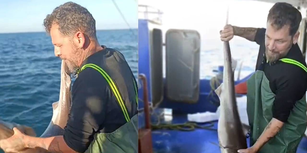 Balıkçı yakaladığı balığı hemen suya geri bıraktı