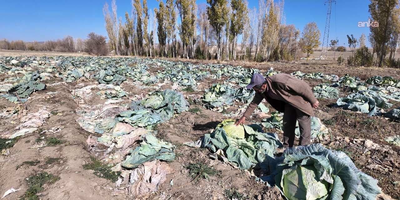 Çiftçi aracıyı aradan çıkardı tarlada tezgah kurdu