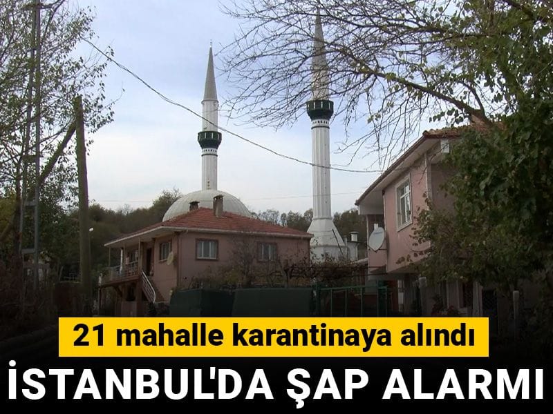 İstanbul'da şap karantinası! 21 mahalleye giriş çıkış yasaklandı