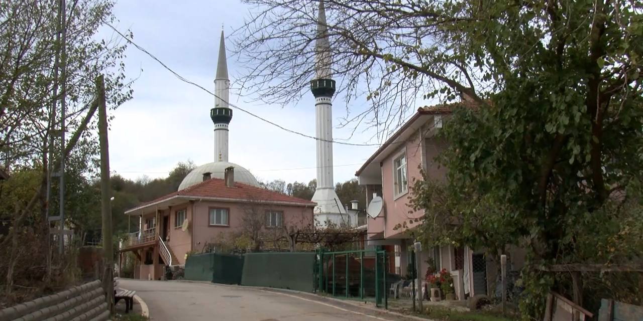 İstanbul'da şap karantinası! 21 mahalleye giriş çıkış yasaklandı