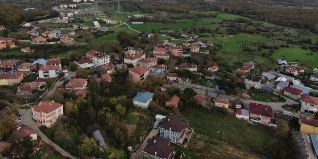 İstanbul’da şap karantinası! 18 mahalle gözetimde