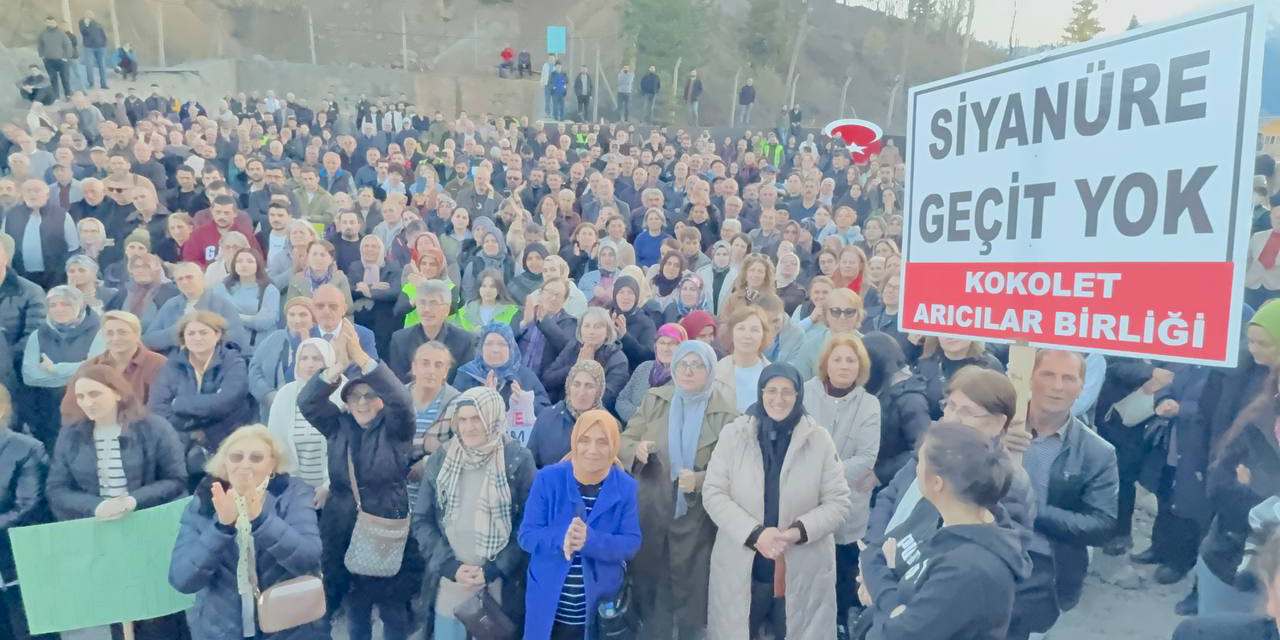Artvinliler maden şirketine karşı ayaklandı: Ölüm çukurlarına karşı dik duracağız