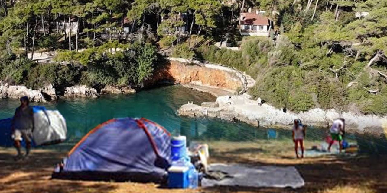 Akyaka orman kampında hukuksuz ihale skandalı: Valilik kendi yasasını çiğniyor