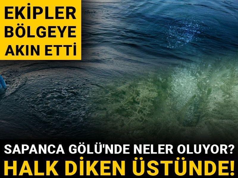 Sapanca Gölü'nde neler oluyor? Halk diken üstünde! Ekipler bölgeye akın etti
