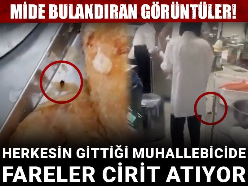 Mide bulandıran görüntüler! Herkesin gittiği muhallebicide fareler cirit atıyor