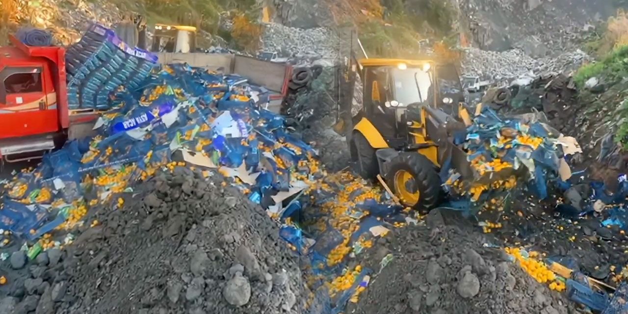 Skandalı skandalla örttüler: Bakanlık 6 ton mandalinayı plastik kasalarla toprağa gömdü