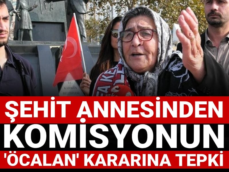 Şehit annesinden 'Öcalan'a ziyaret' tepkisi: Niye benim kapımı çalmıyorsun?