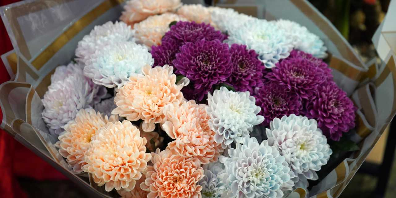 Çiçekçilerde Öğretmenler Günü hareketliliği: 1000 TL'den başlıyor