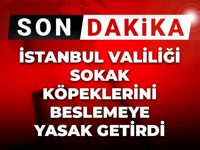 Son Dakika | İstanbul Valiliği sokak köpeklerini beslemeye yasak getirdi
