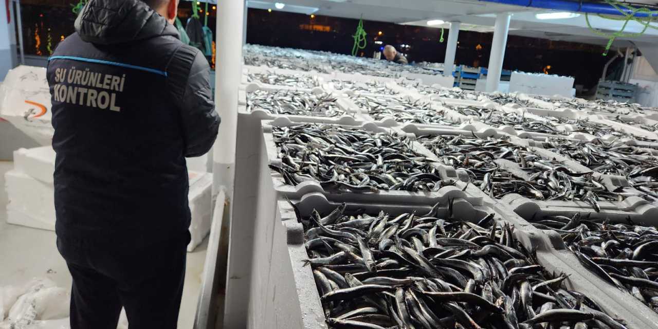 3 kilosu 100 liraya düştü! Yıllardır böylesi görülmedi