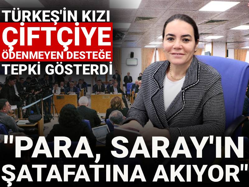 Türkeş'in kızı Ayyüce Türkeş çiftçiye ödenmeyen desteğe tepki gösterdi: "Para, Saray'ın şatafatına akıyor"