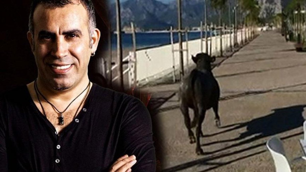 Haluk Levent sosyal medyadan seslendi! Görenler ihbar etsin...