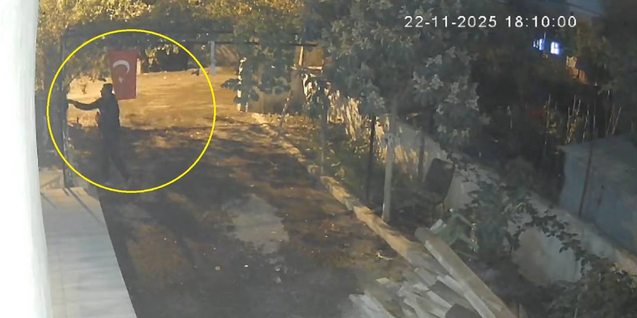 Osmaniye'de mavi yumurtlayan tavuk çalındı: Hırsızlık anı kamerada