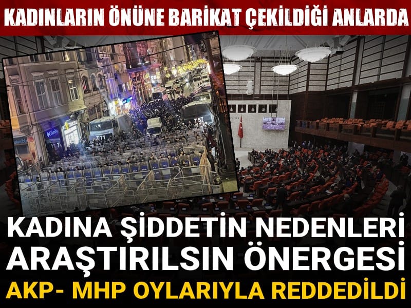 Kadınların önüne barikat çekildiği anlarda: Kadına şiddetin nedenleri araştırılsın önergesi AKP- MHP oylarıyla reddedildi