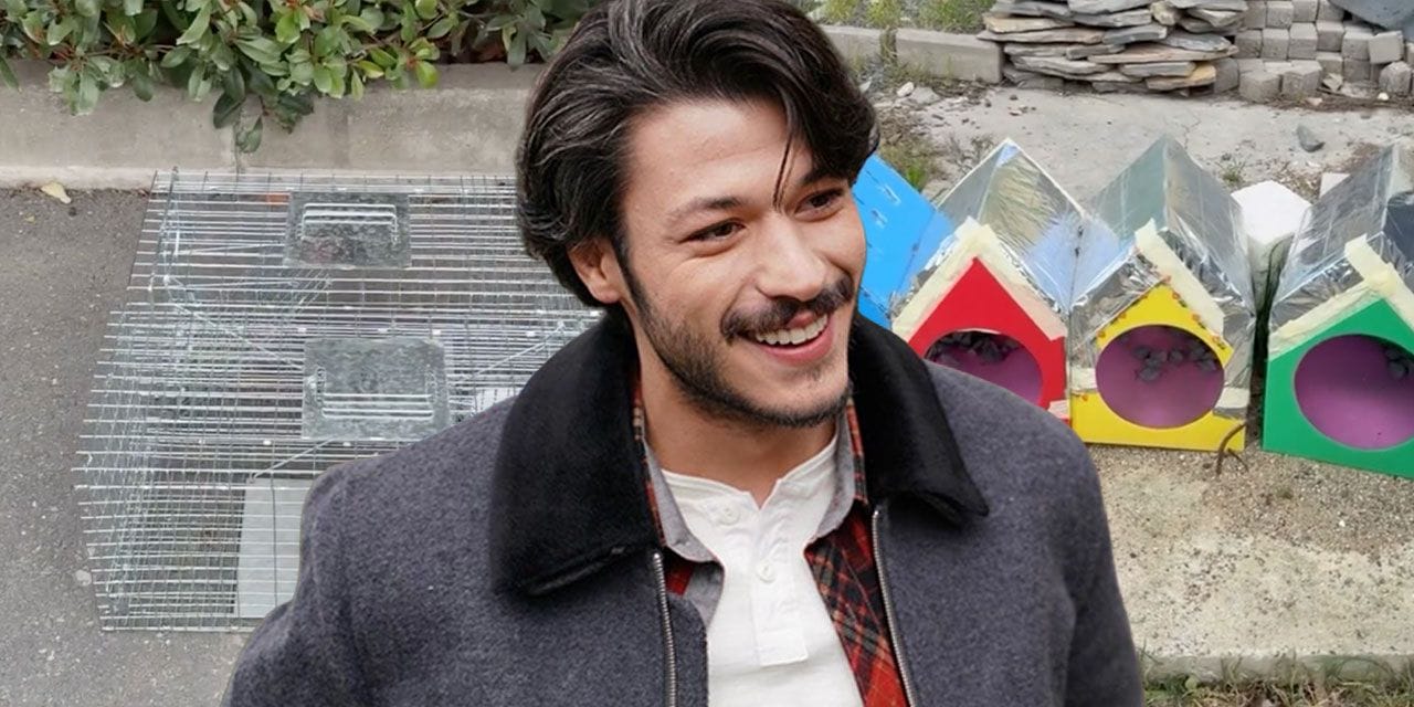 Kubilay Aka tepki gösterdi: Kedilere kurulan kapanları görüntüledi!