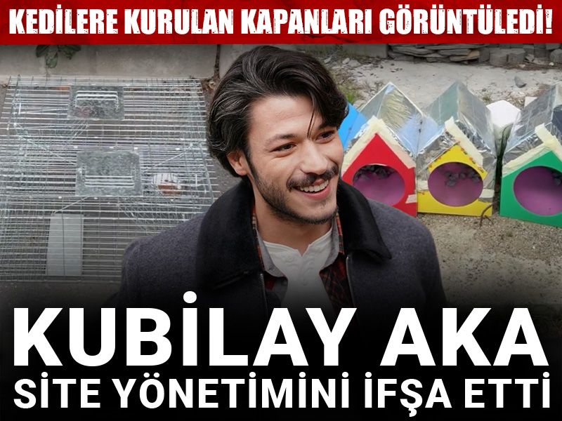 Kubilay Aka site yönetimini ifşa etti: Kedilere kurulan kapanları görüntüledi!