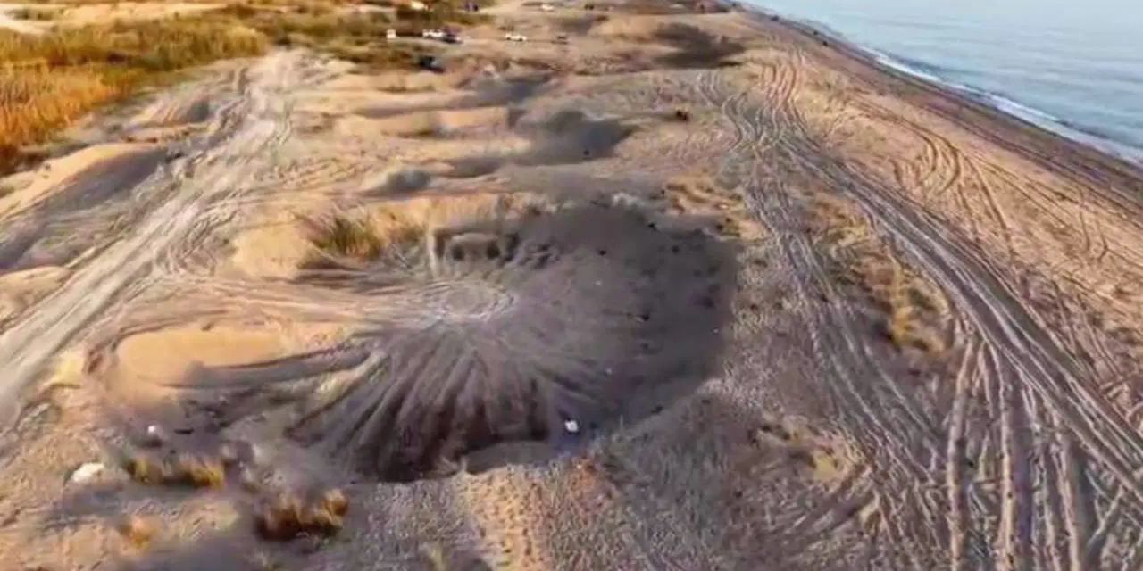 Atatürk'ün emanetinden göz göre göre hırsızlık: Kamyonlara doldurup tonlarca çalmışlar