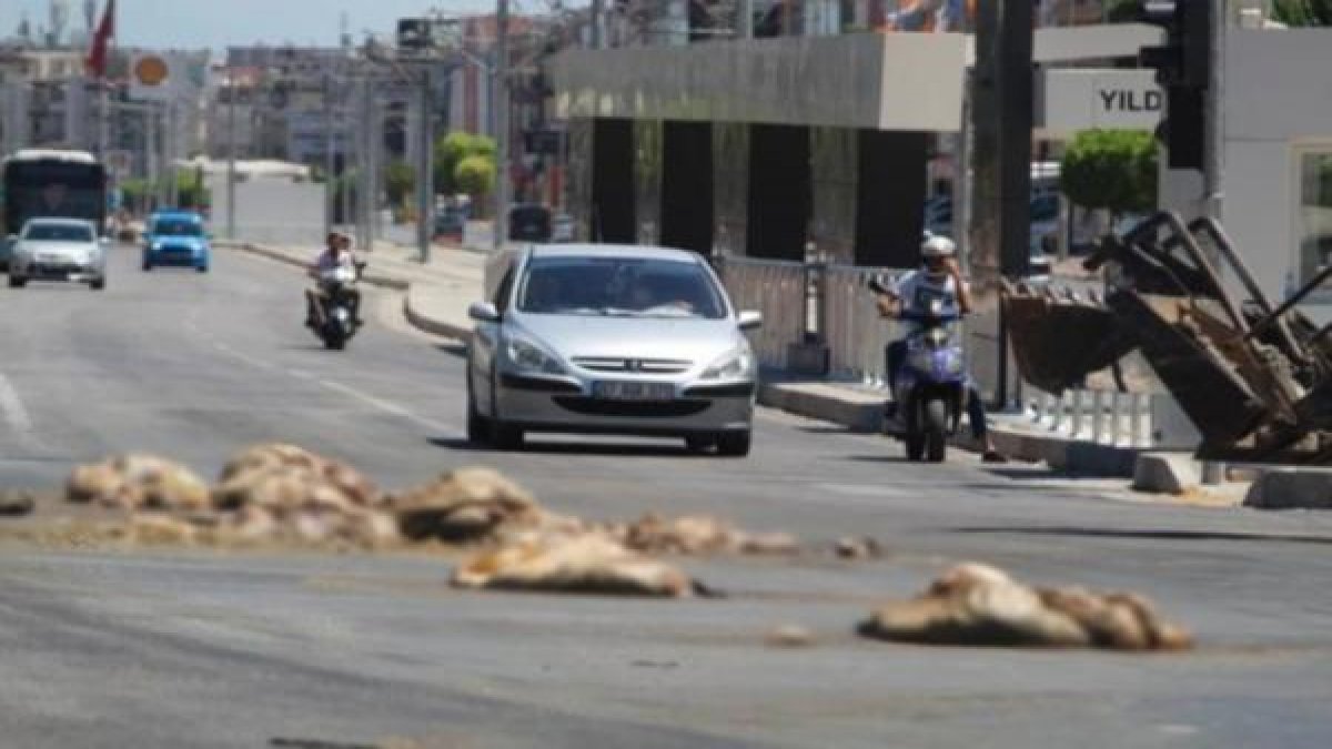 Antalya'da şoke eden görüntü! TIR'dan caddeye döküldü...