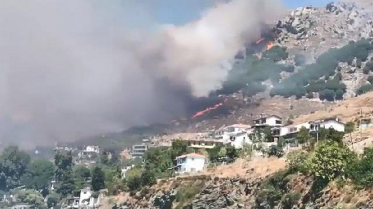 Marmara Adası'nda orman yangını...