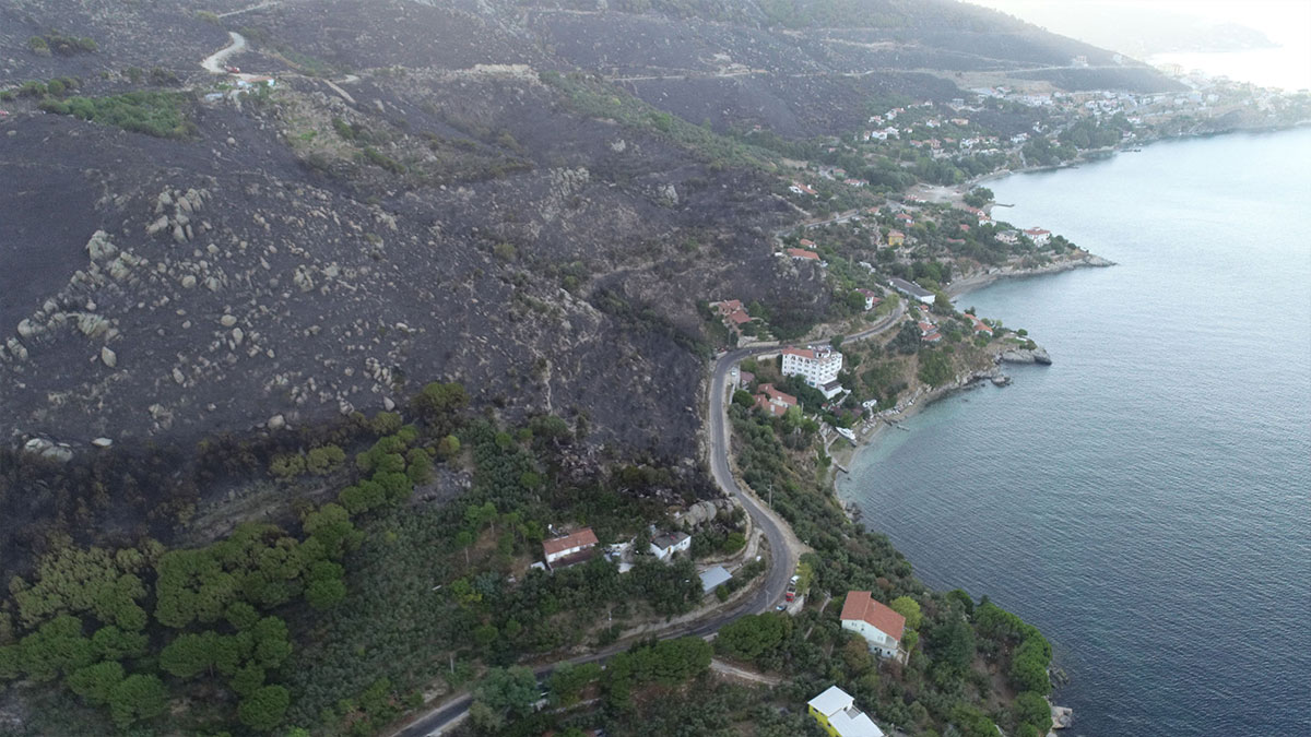 Marmara Adası'ndaki orman yangınında 80 hektar kül oldu! Vatandaş isyan etti