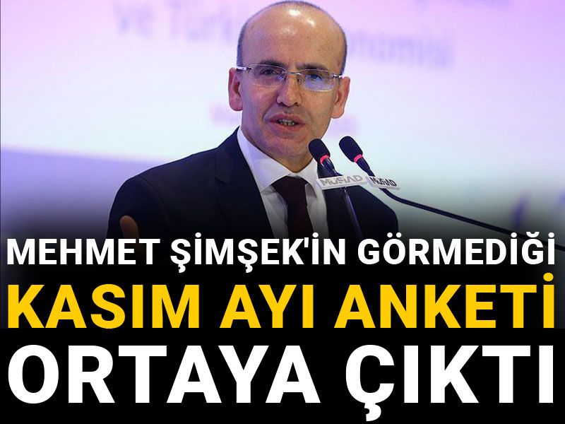 Mehmet Şimşek'in görmediği Kasım ayı anketi ortaya çıktı