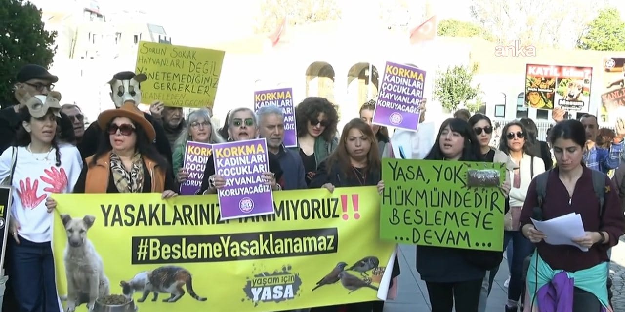 Valiliğin 'yasak' kararı hayvanseverleri harekete geçirdi! Böyle protesto ettiler
